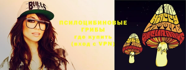 гашик Всеволожск