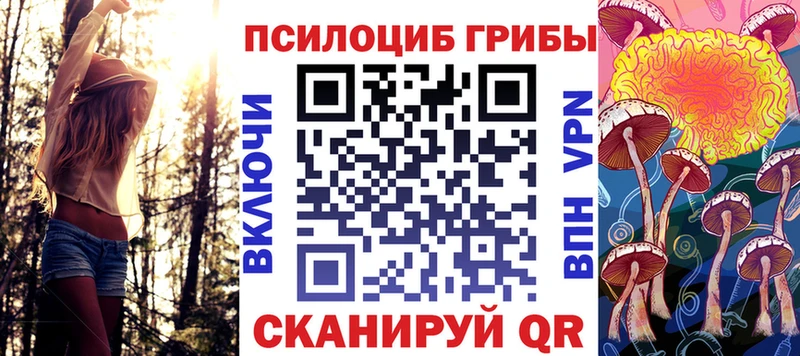 Купить закладки  Кирс  Псилоцибиновые грибы Psilocybine cubensis 